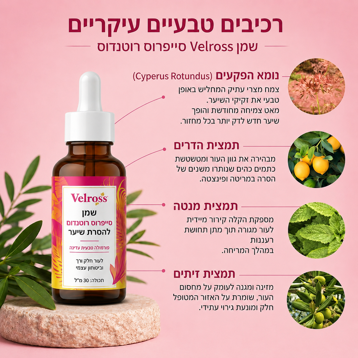 שמן סייפרוס רוטנדום להפחתת צמיחת שיער